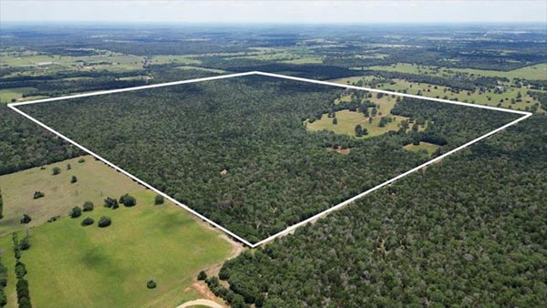 How Big Is 300 Acres? A Simple Comparison Into Perspective